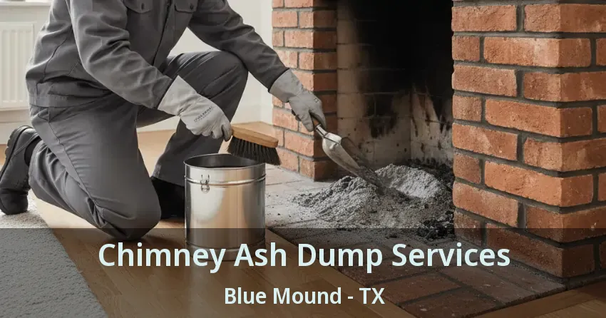 Chimney Ash Dump Services Blue Mound - TX