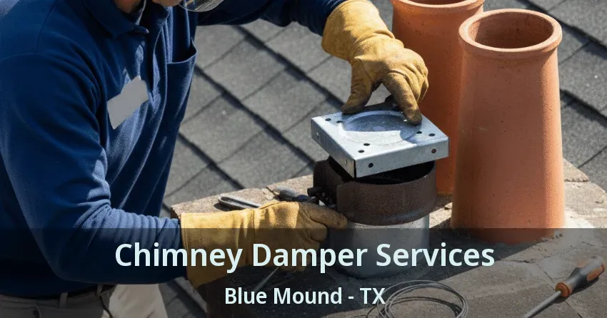 Chimney Damper Services Blue Mound - TX
