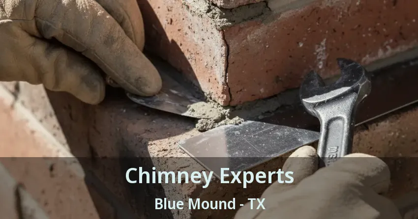 Chimney Experts Blue Mound - TX