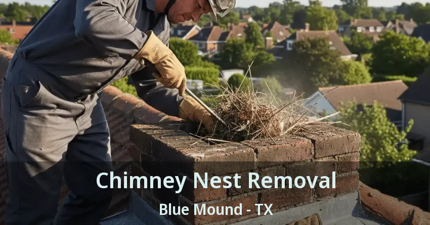 Chimney Nest Removal Blue Mound - TX