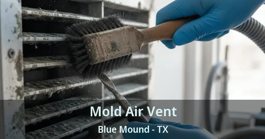 Mold Air Vent Blue Mound - TX