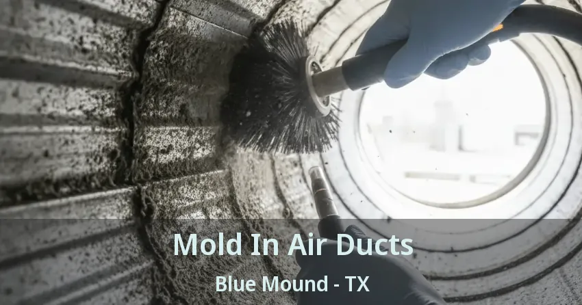Mold In Air Ducts Blue Mound - TX