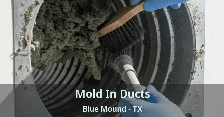 Mold In Ducts Blue Mound - TX