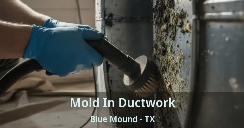 Mold In Ductwork Blue Mound - TX