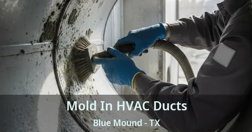 Mold In HVAC Ducts Blue Mound - TX